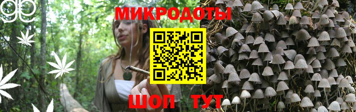 Галлюциногенные грибы прущие грибы  Вход с VPN  Избербаш 